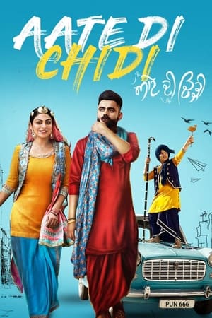 Aate di chidi (2018) Punjabi Movie | Hindi Dubbed Movie HDRip - [400MB]