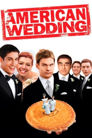 American Wedding (2003) Hindi Dual Audio | Hindi Dubbed Movie BluRay 300MB