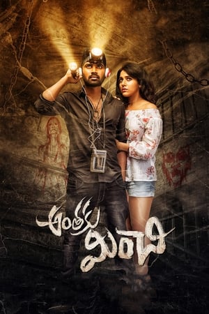 Anthaku Minchi (2018) Hindi Dubbed | Hindi Dubbed Movie HDRip [1GB]
