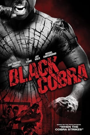 Black Cobra (2012) Hindi Dual Audio | Hindi Dubbed Movie BluRay [830MB]