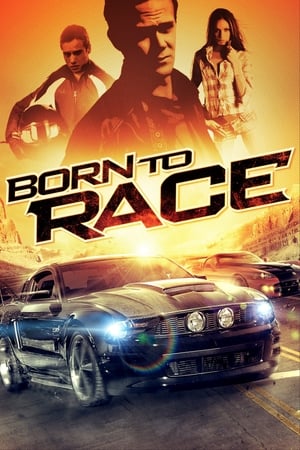 Born to Race 2011 Hindi Dual Audio | Hindi Dubbed Movie BluRay 300MB