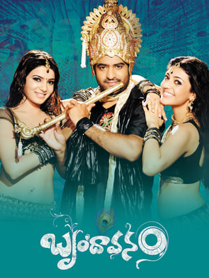 Brindavanam (The Super Khiladi) (2010) (Hindi – Telugu) Dual Audio | Hindi Dubbed Movie UnCut HDRip 600MB