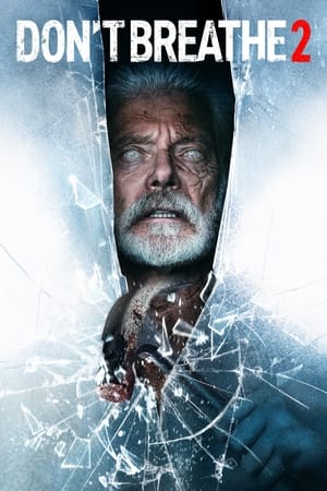 Don’t Breathe 2 (2021) Hindi Dual Audio | Hindi Dubbed Movie HDRip [900MB]