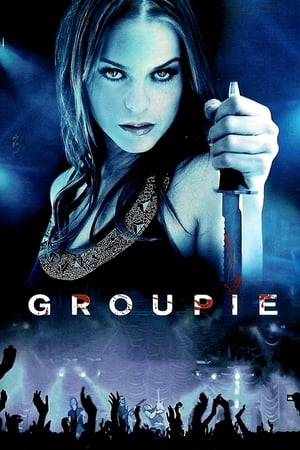 Groupie (2010) Hindi Dual Audio | Hindi Dubbed Movie BluRay 300MB