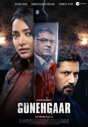 Gunehgaar (2023) Hindi HDRip | Hindi Dubbed Movie | 480p