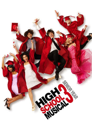 High School Musical 3 (2008) Hindi Dual Audio | Hindi Dubbed Movie BluRay 350MB