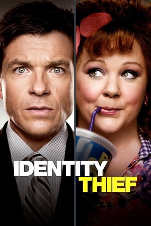 Identity Thief (2013) Hindi Dual Audio | Hindi Dubbed Movie BluRay [1GB]