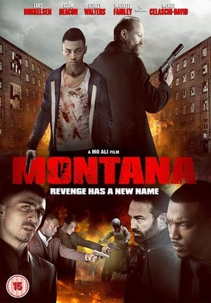 Montana (2014) Hindi Dual Audio | Hindi Dubbed Movie BluRay [900MB]