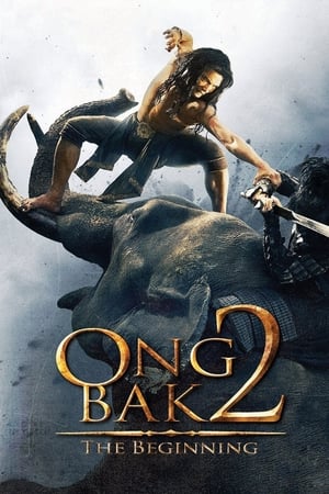 Ong Bak 2 (2008) Hindi Dual Audio | Hindi Dubbed Movie BluRay [800MB]