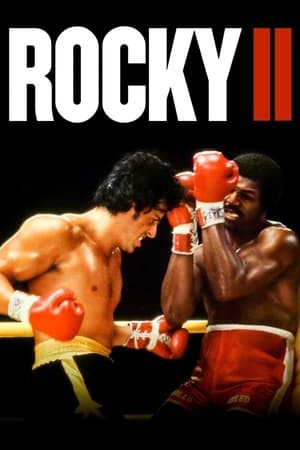 Rocky II (1979) Dual Audio Hindi | Hindi Dubbed Movie Bluray 400MB
