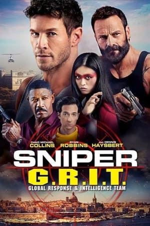 Sniper GRIT Global Response and Intelligence Team 2023 Hindi Dual Audio HDRip | Hindi Dubbed Movie – 480p
