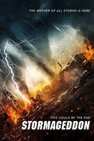 Stormageddon (2015) Hindi Dual Audio | Hindi Dubbed Movie BluRay [1.1GB]