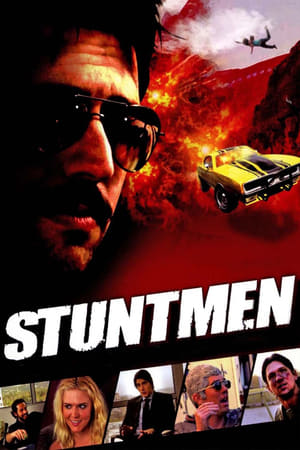 Stuntmen 2009 Hindi Dual Audio | Hindi Dubbed Movie WebRip [800MB]