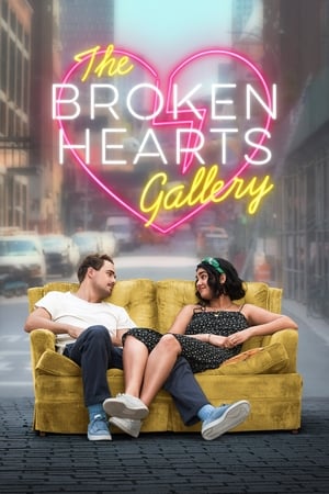 The Broken Hearts Gallery (2020) Hindi Dual Audio | Hindi Dubbed Movie Web-DL 340MB