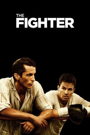 The Fighter (2010) Hindi Dual Audio | Hindi Dubbed Movie BluRay 360MB
