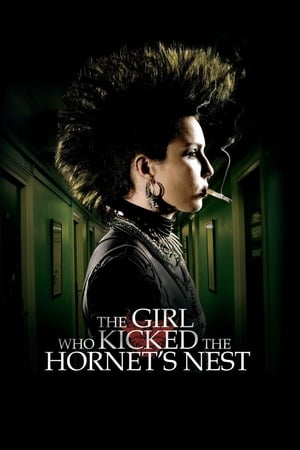 The Girl Who Kicked the Hornet's Nest (2009) Hindi Dual Audio | Hindi Dubbed Movie BluRay [1.2GB]