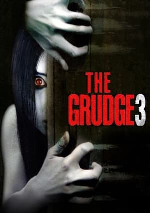The Grudge 3 2009 Hindi Dual Audio | Hindi Dubbed Movie Web-DL 300MB