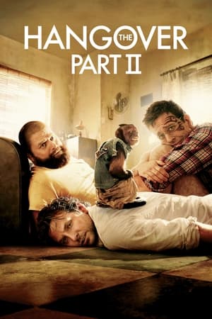 The Hangover Part II (2011) Hindi Dual Audio | Hindi Dubbed Movie BluRay 300MB