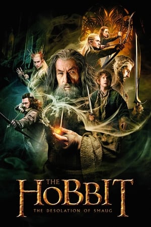 The Hobbit: The Desolation of Smaug (2013) Hindi Dubbed BluRay | Hindi Dubbed Movie [1.9GB] Download