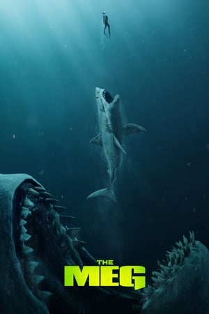 The Meg (2018) Hindi (Org) Dual Audio | Hindi Dubbed Movie BluRay [1.1GB]