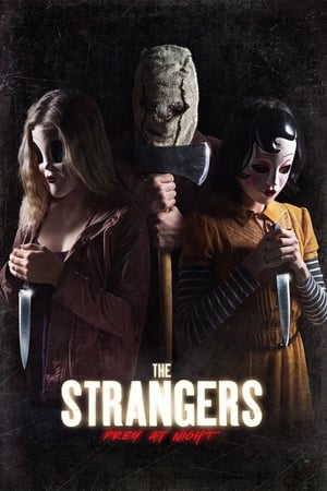The Strangers: Prey at Night (2018) Hindi Dual Audio | Hindi Dubbed Movie BluRay [770MB]