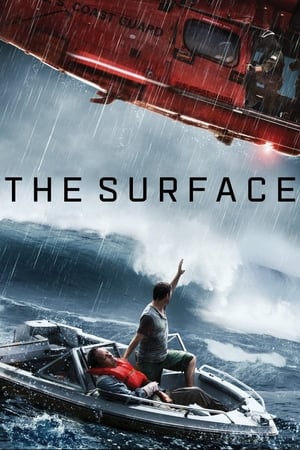 The Surface (2014) Hindi Dual Audio | Hindi Dubbed Movie Web-DL [800MB]