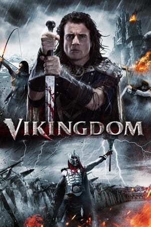Vikingdom 2013 Hindi Dual Audio | Hindi Dubbed Movie BluRay 380MB