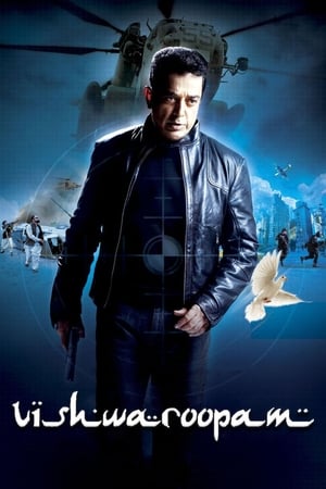 Vishwaroopam (2013) Hindi Dubbed | Hindi Dubbed Movie HDTVRip [1.2GB]